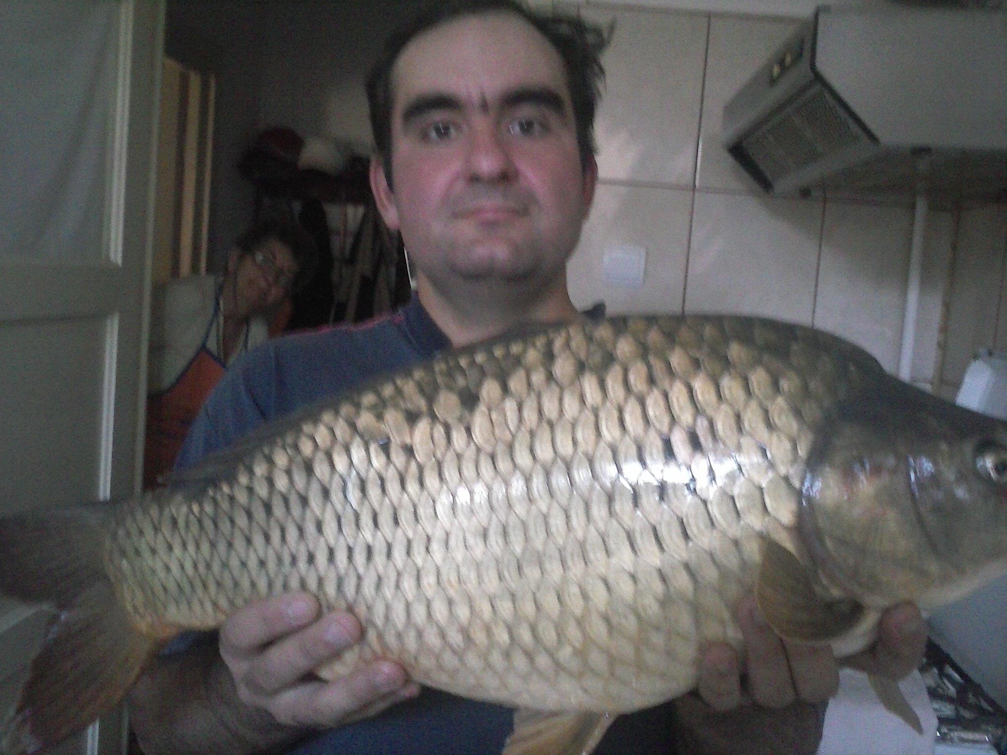 Pleasa 2012 - crap comun 4.5 kg